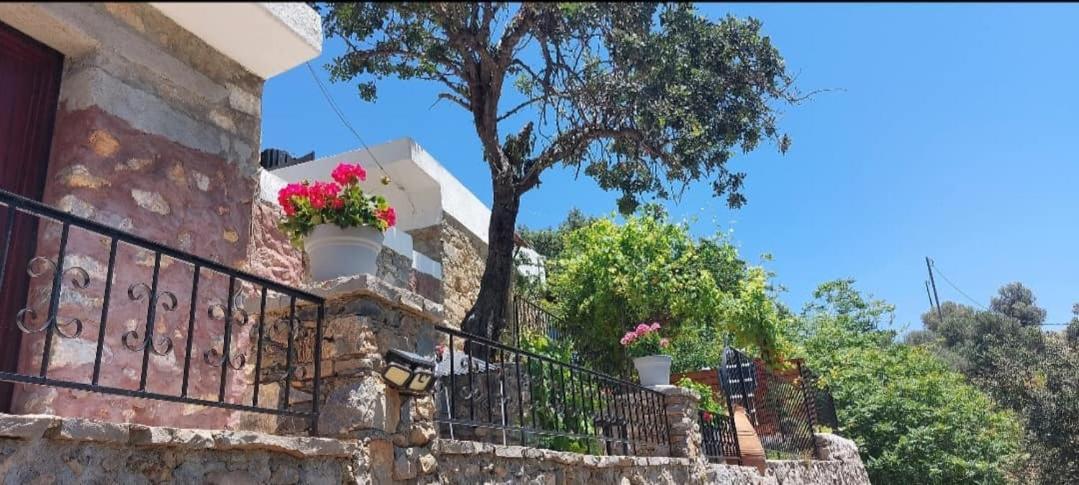 Villa Sarichel Nikithianos ภายนอก รูปภาพ