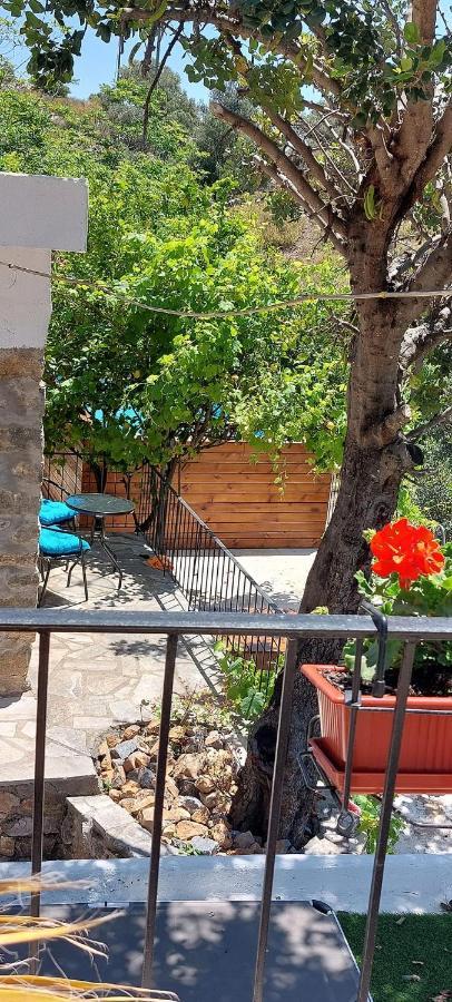 Villa Sarichel Nikithianos ภายนอก รูปภาพ